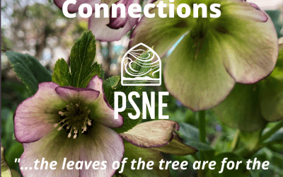 Spiritual Connections – The Leaves Of The Tree (May 2022)